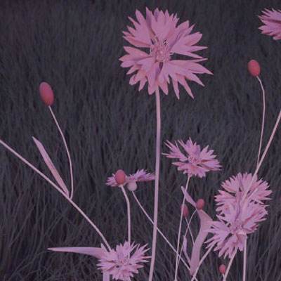 乐鱼app下载app下载