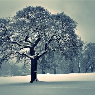 澳门网上黄金城
